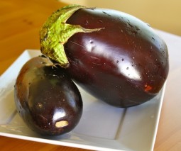 Purple eggplants