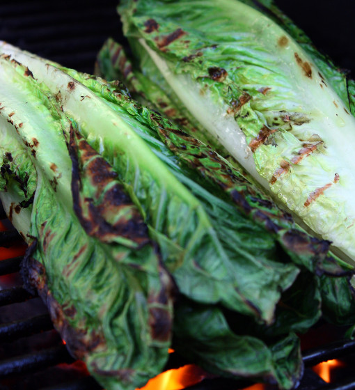 Retouched grilling romaine