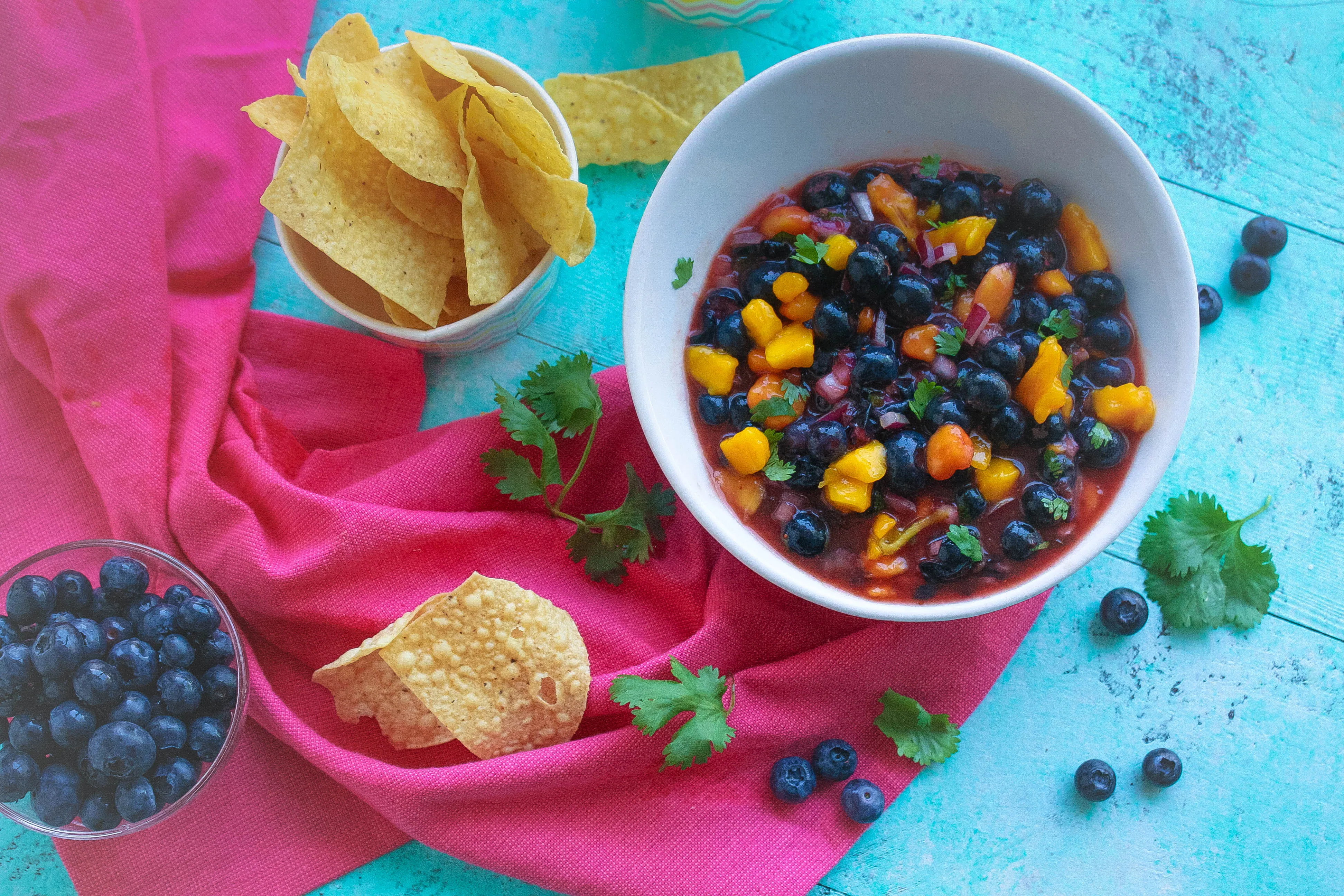 Grab some ships and dig into Blueberry-Mango Salsa! Blueberry-Mango Salsa is fabulous as a snack, but it's great for main dishes, too!