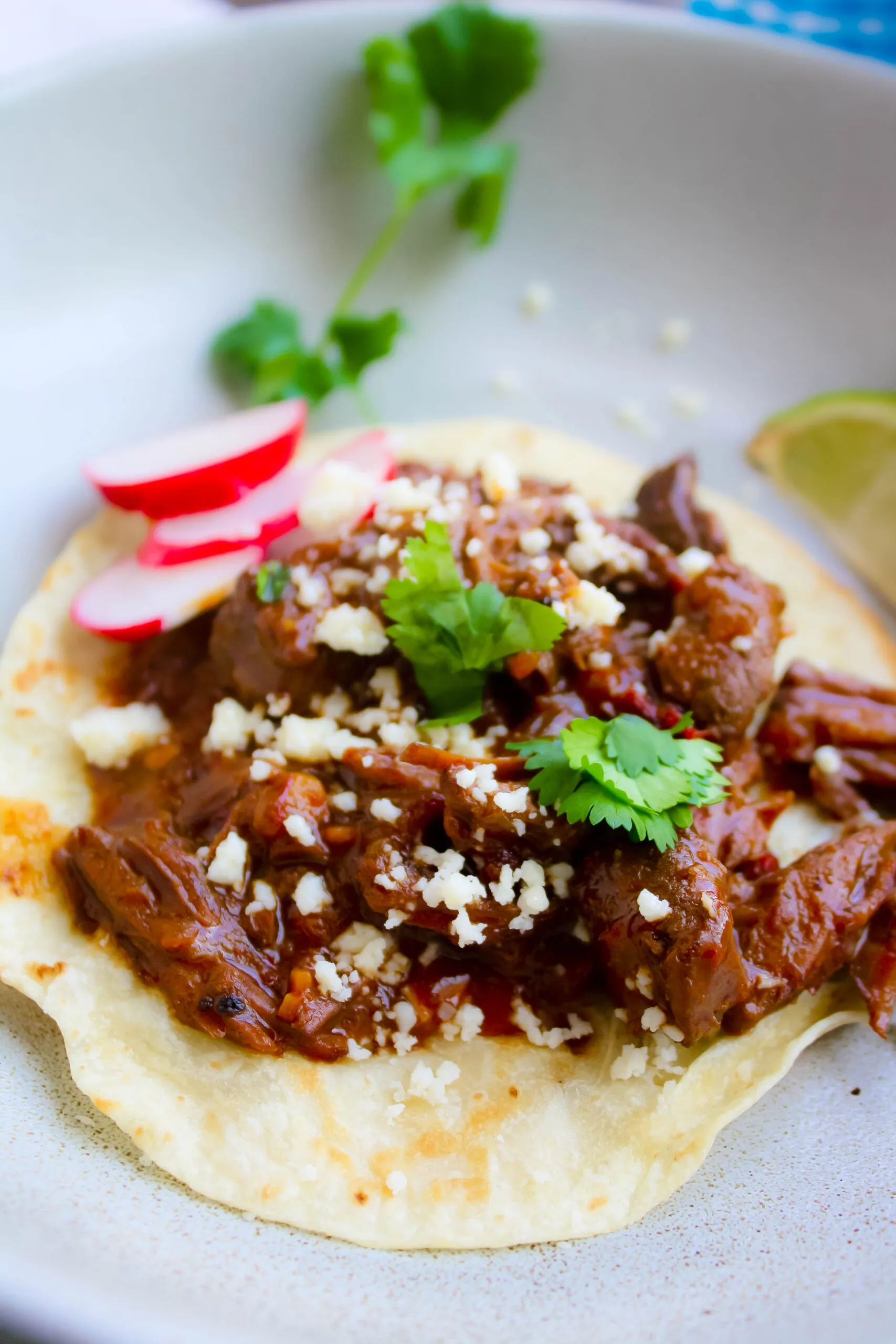Chile Colorado Tacos are filling, flavorful, and they make a fabulous meal!