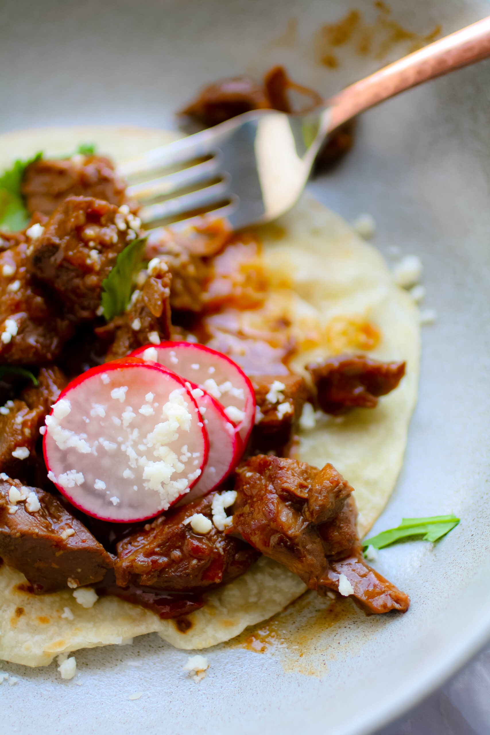 Chile Colorado Tacos are simple, hearty, and flavorful!