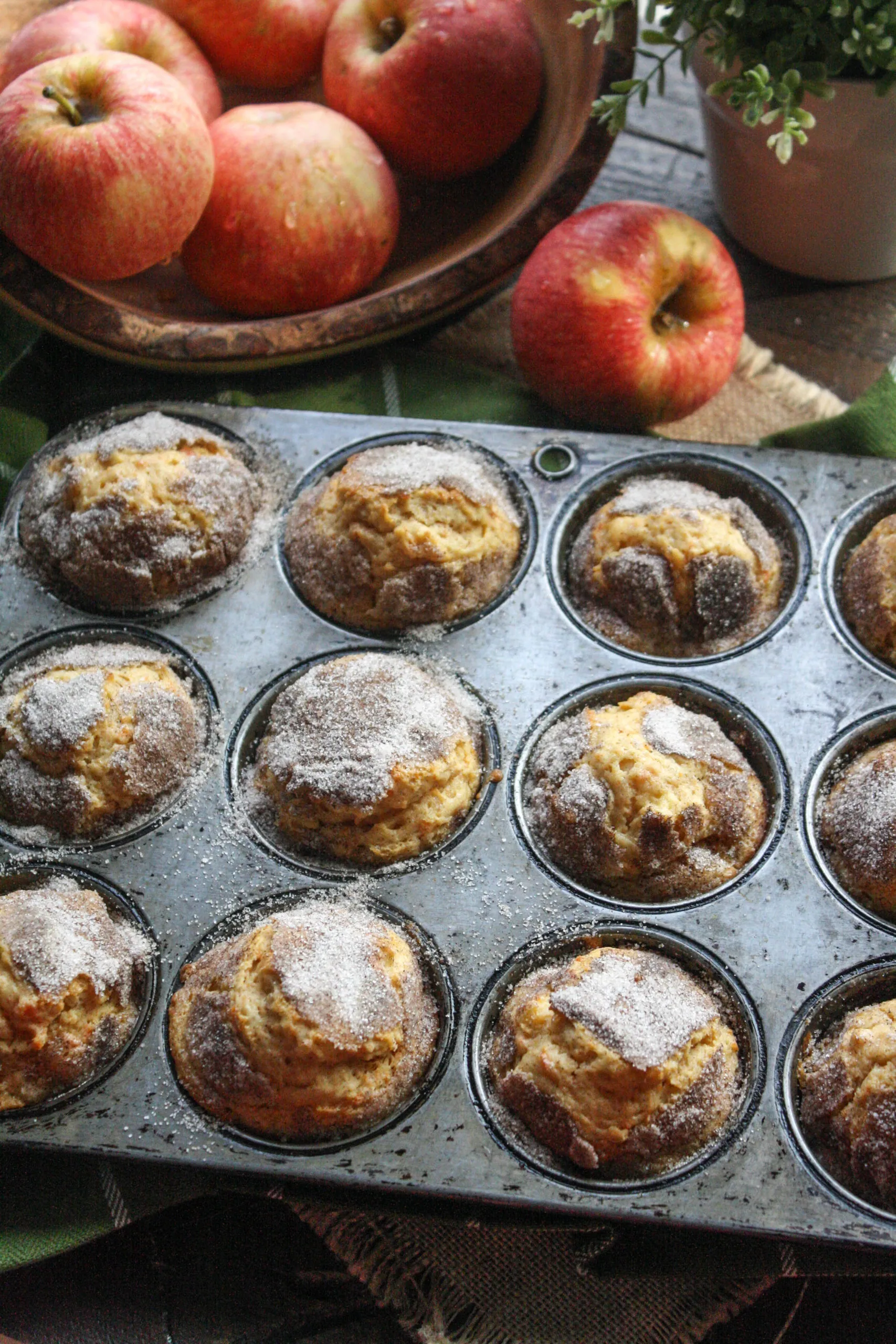 Cinnamon-Sugar Apple & Sweet Potato Muffins are a lovely treat or snack for the season!