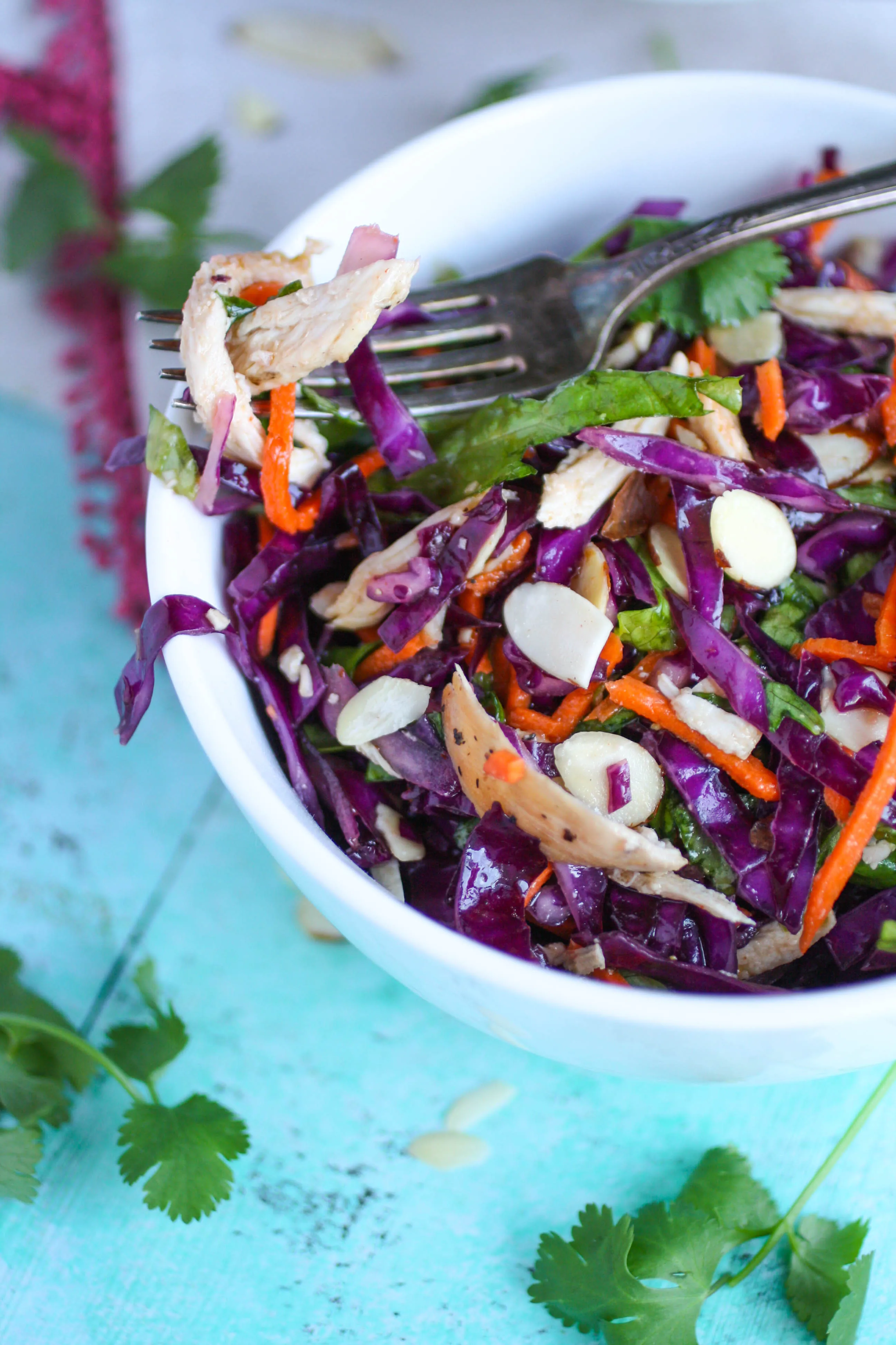 Crunchy Cabbage & Chicken Salad with Sesame Dressing is a nice dish to serve for lunch or dinner. You'll love the color and flavor in this crunchy cabbage salad!