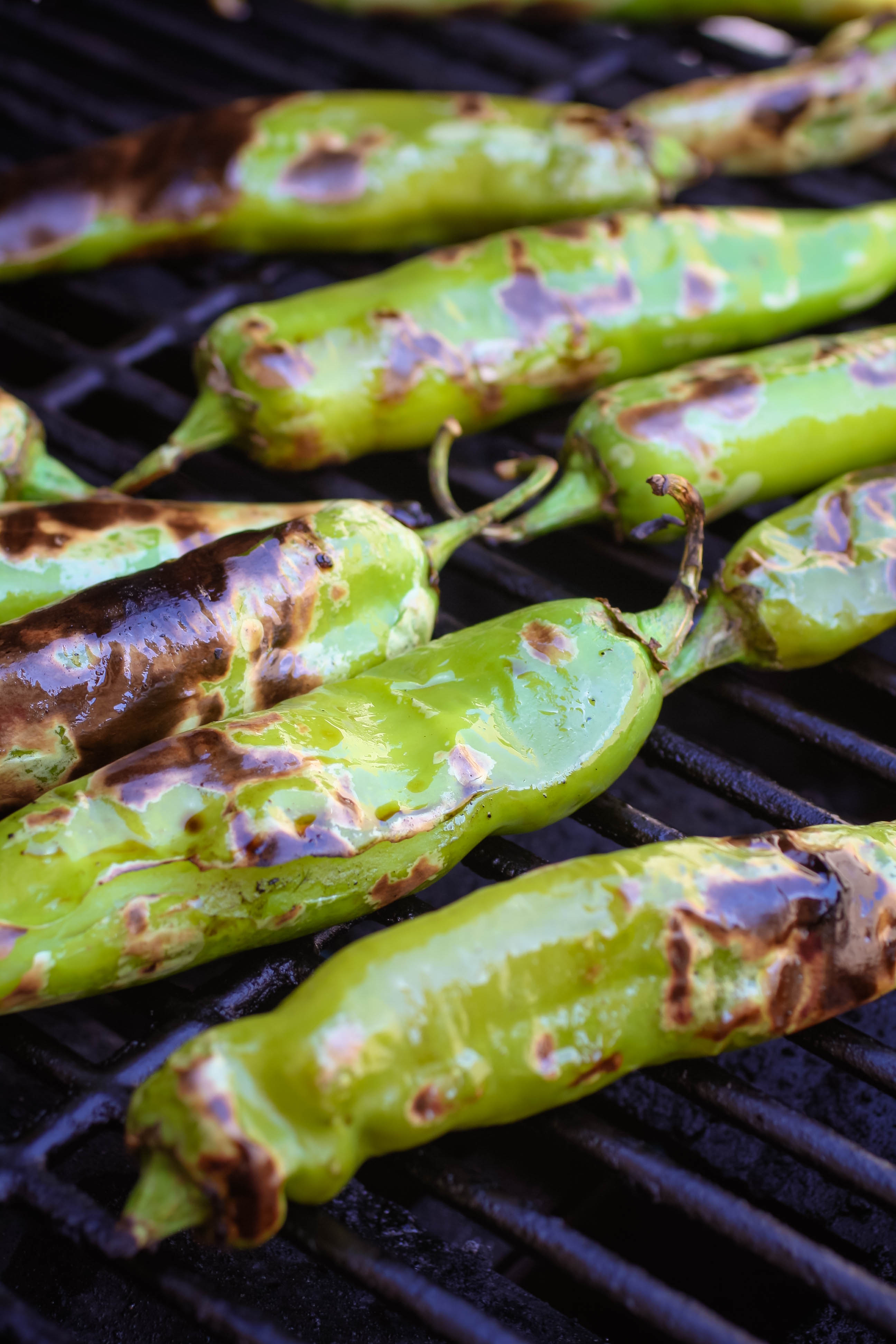 Eggs in Hatch Chile-Spiced Tomato Sauce is a treat for any meal. Eggs in Hatch Chile-Spiced Tomato Sauce is a delightful dish made with flavorful peppers. Eggs in Hatch Chile-Spiced Tomato Sauce is a tasty dish that is very comforting.