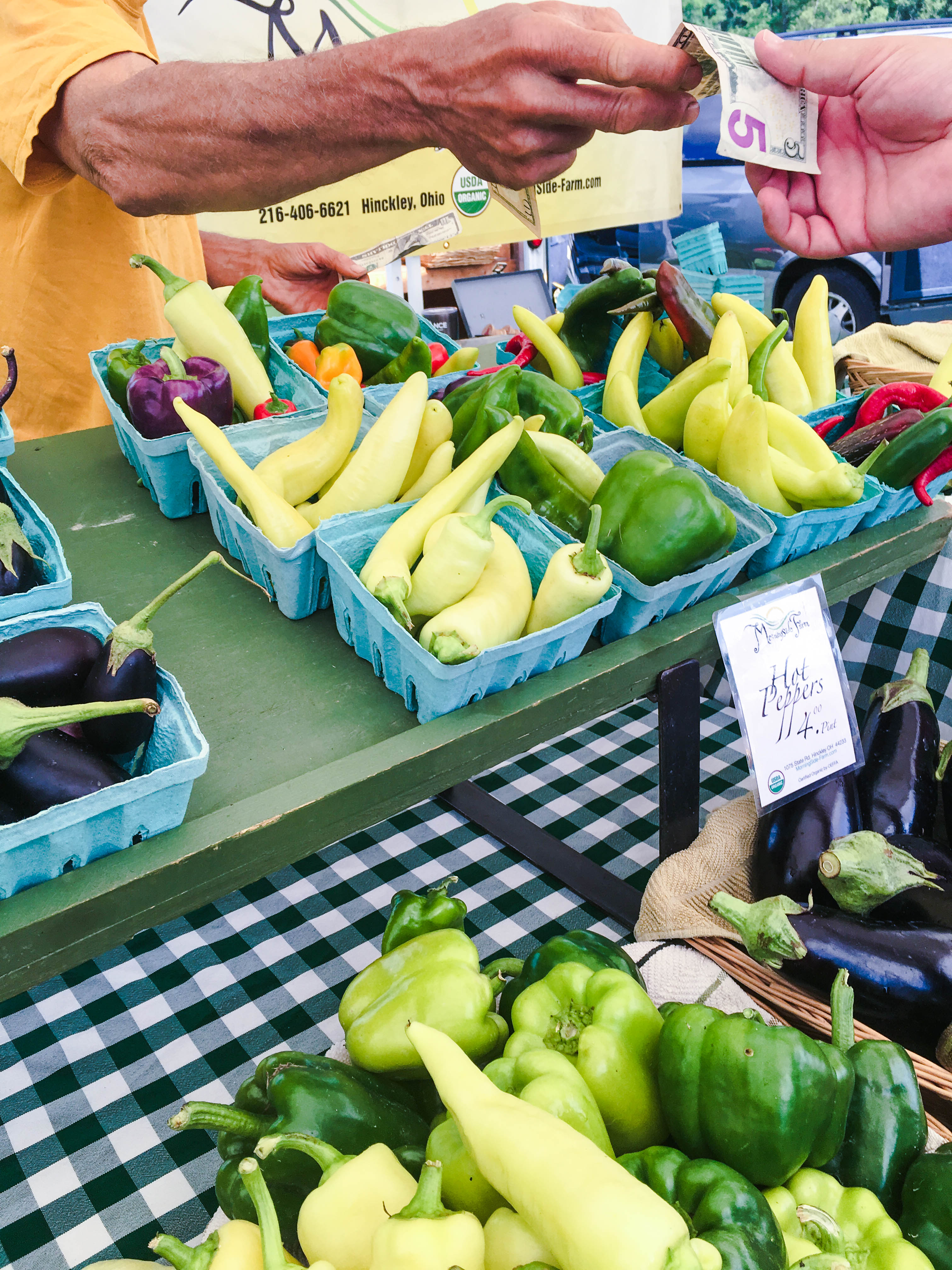 Farmers Market Find: Sautéed Peppers, Tomatoes & Zucchini is a perfect side dish for the season. Farmers Market Find: Sautéed Peppers, Tomatoes & Zucchini uses summer's veggies for this tasty side dish.