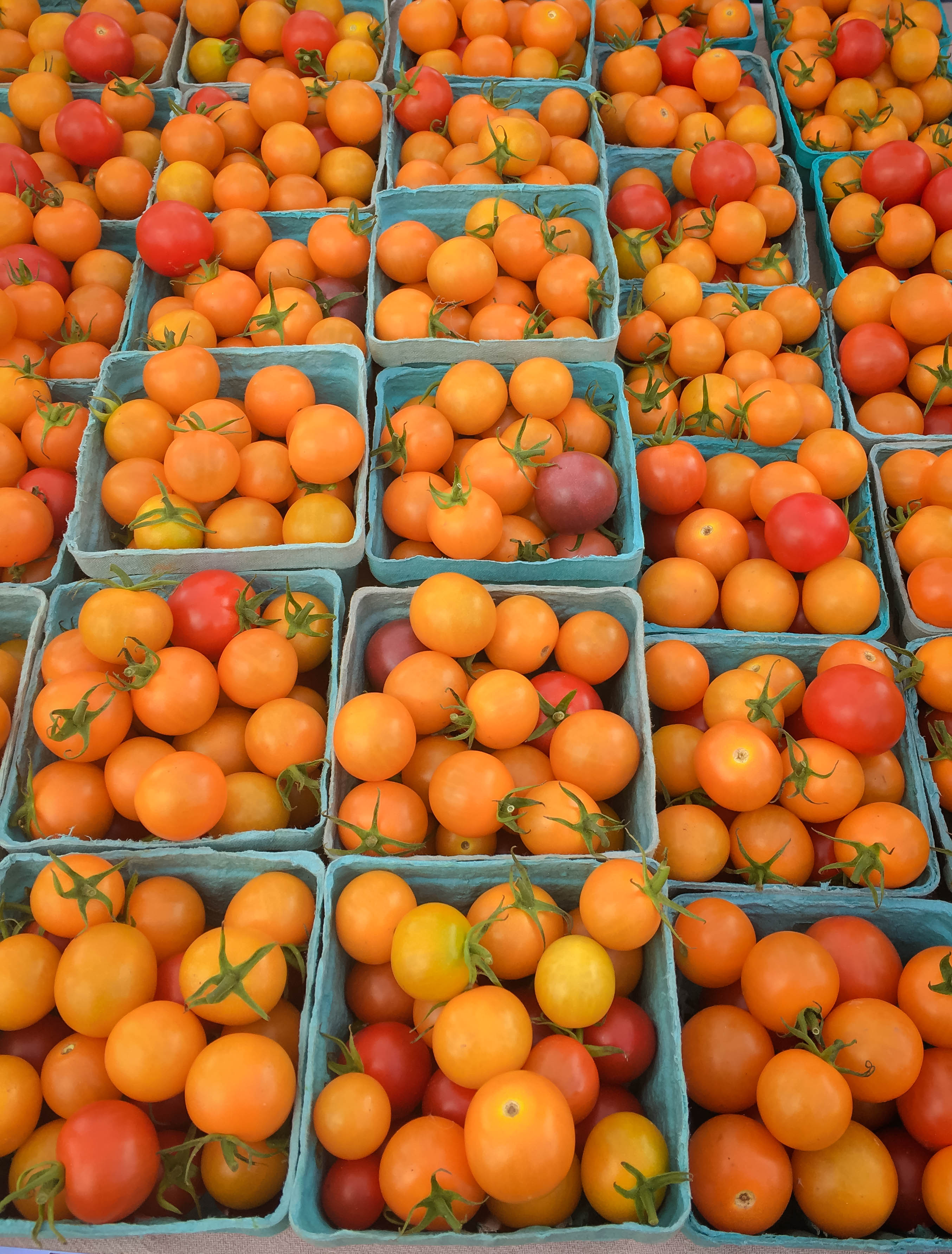 Farmers Market Find: Sautéed Peppers, Tomatoes & Zucchini is a simple yet flavorful side dish or appetizer for the summer. Farmers Market Find: Sautéed Peppers, Tomatoes & Zucchini is wonderful to serve as a side dish or appetizer this summer.