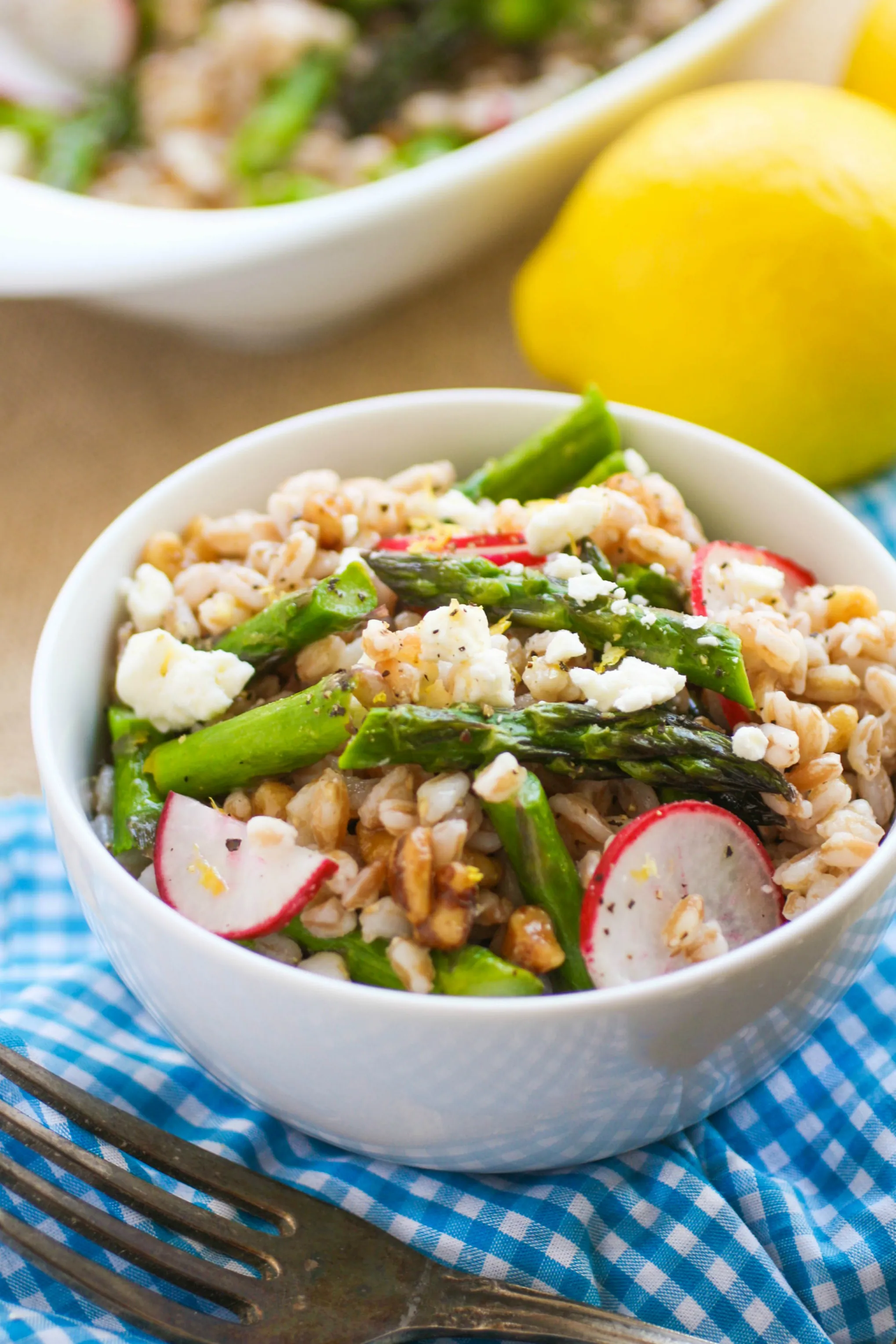 Farro Salad with Asparagus, Radishes & Lemon Vinaigrette is a fabulous spring dish! You'll love the bright colors and flavors!