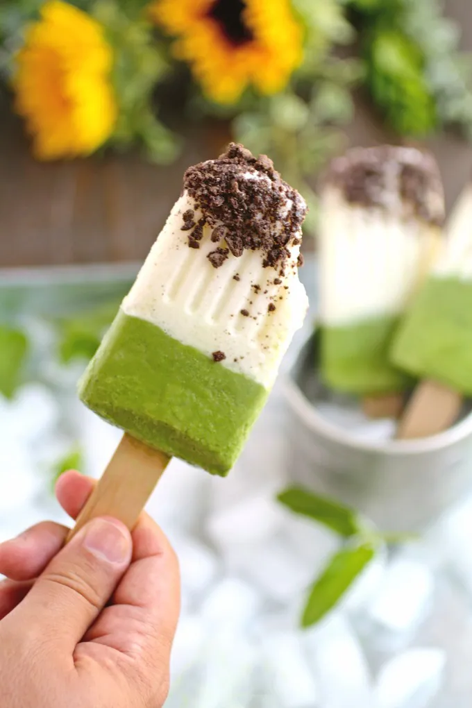 Bite into a healthier, delicious treat like Minty Grasshopper Frozen Yogurt Pops!