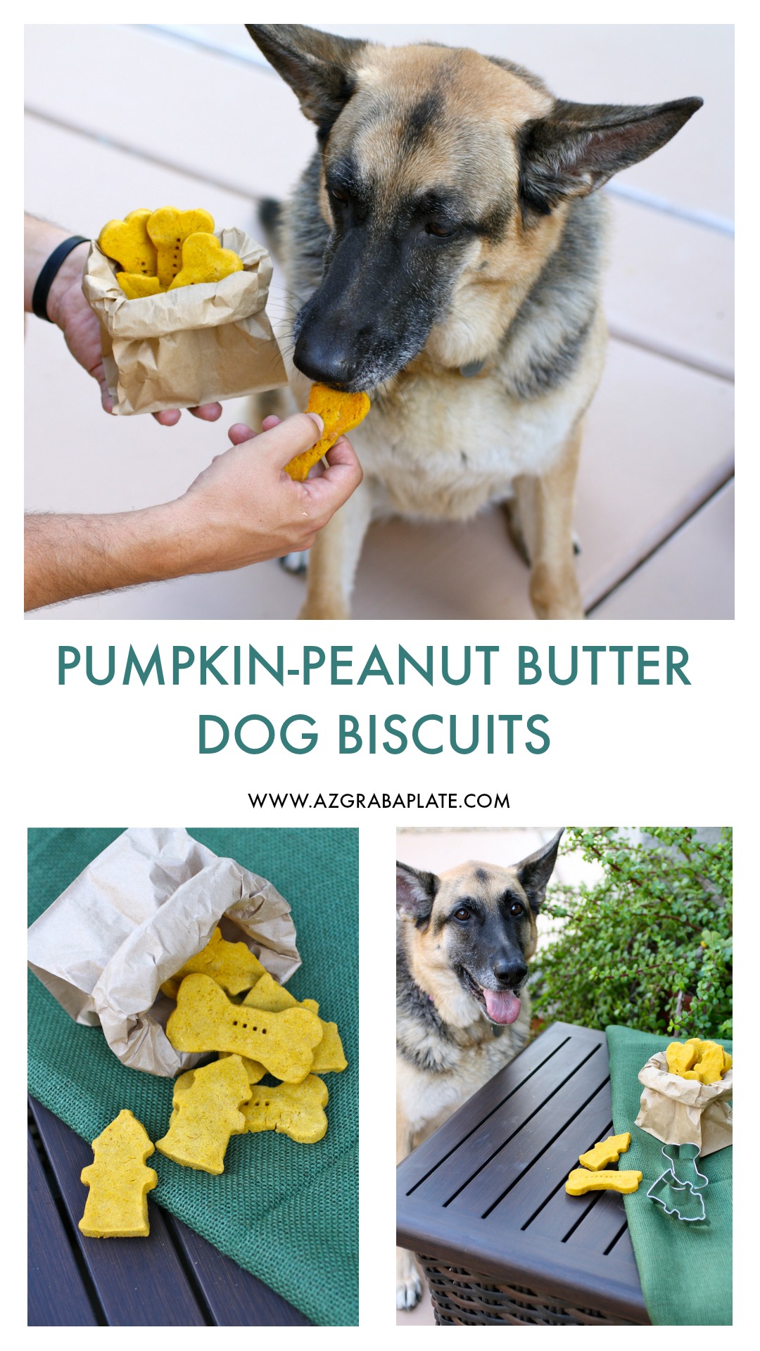 Pumpkin-Peanut Butter Dog Biscuits will become your pup's favorite treat! These are easy-to-make treats for your dog!