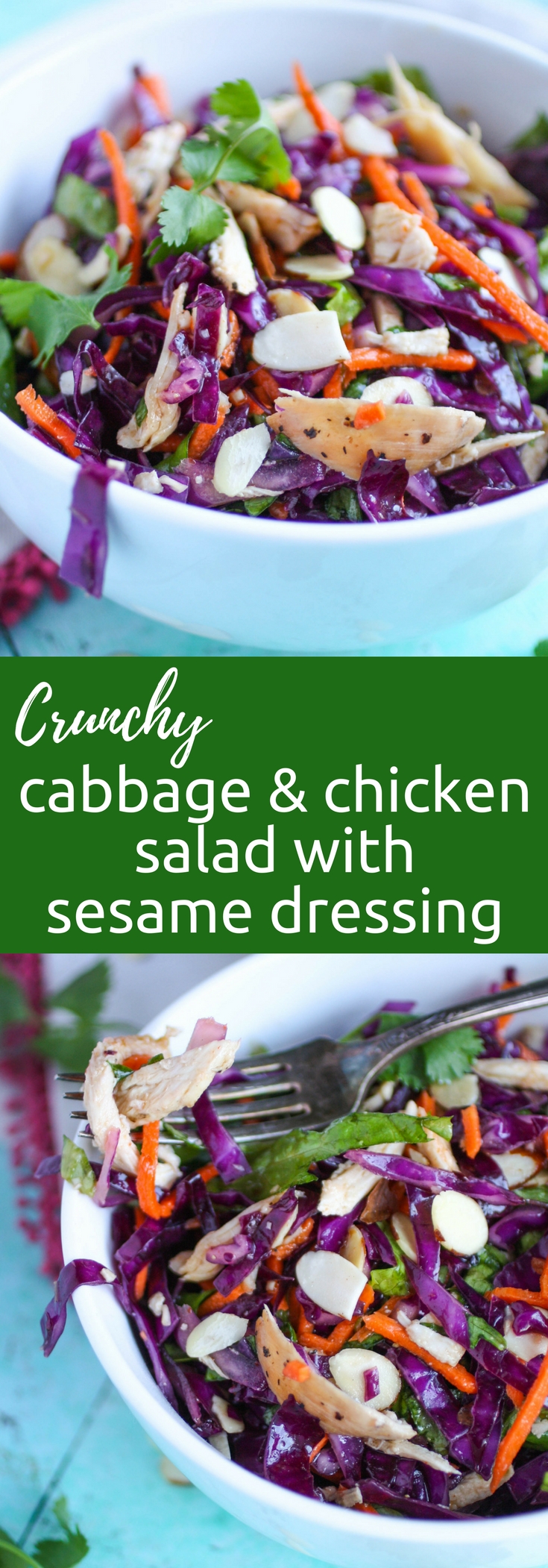 Crunchy Cabbage & Chicken Salad with Sesame Dressing is a salad to skin your teeth into. This crunchy cabbage salad is a delight in color and flavor!