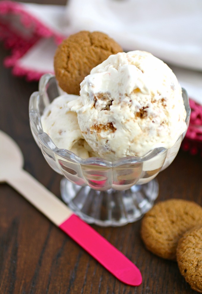 Fresh fruit and spicy cookies make No-Churn Plum & Gingersnap Cookie Ice Cream so tasty!