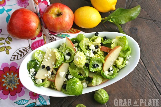 A bowl filled with a flavorful salad like Brussels Sprouts Salad with Apples, Blueberries & Lemon Vinaigrette is perfect in the winter!