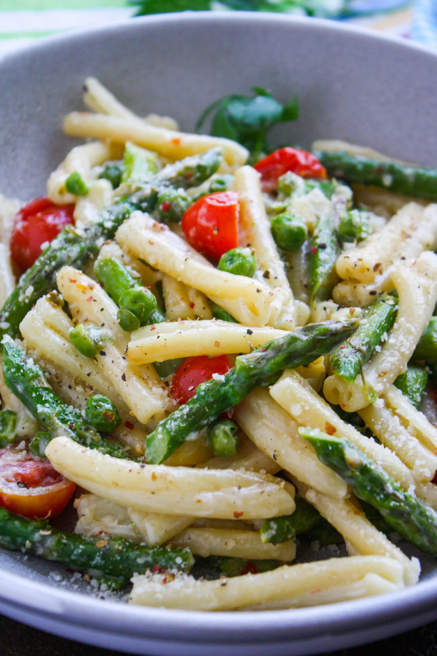 Pasta Primavera in Light Cream Sauce is a delight any night of the week.