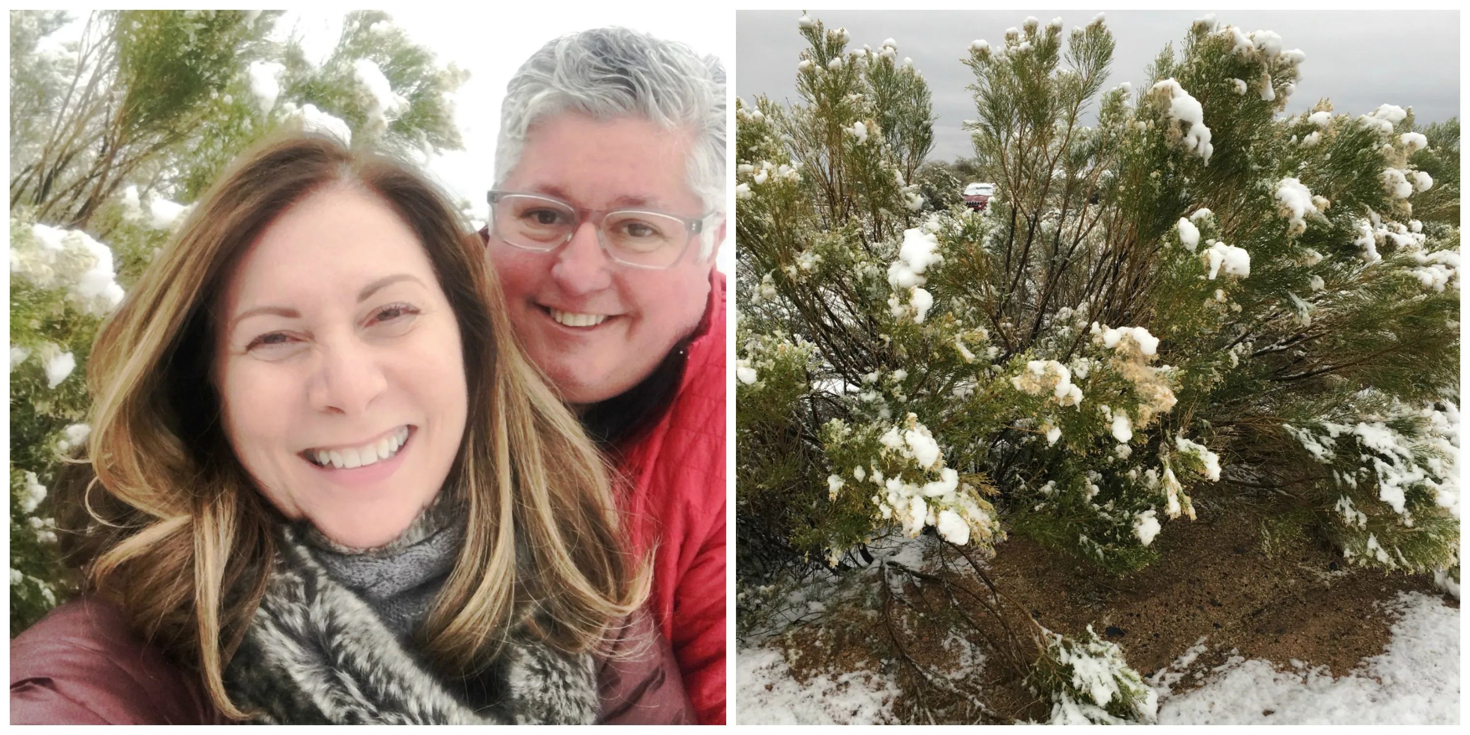 Fun in the snow in Arizona!