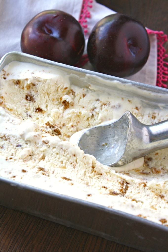 Homemade ice cream is easy to make! Try No-Churn Plum & Gingersnap Cookie Ice Cream this summer!