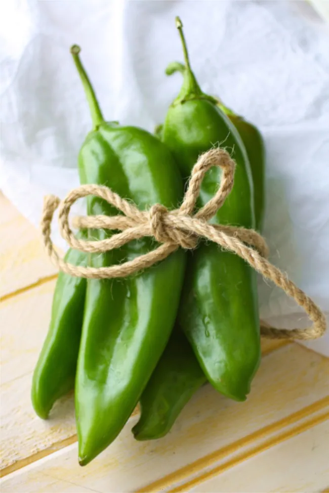 Hatch chiles tied in rope