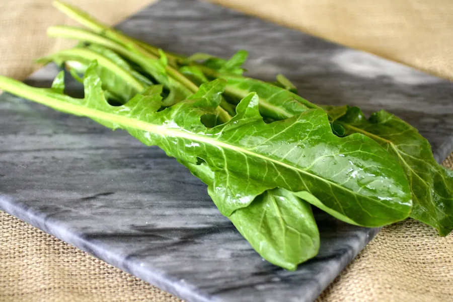 Dandelion greens make the meal for Bucatini with Wilted Dandelion Greens and Anchovy Sauce