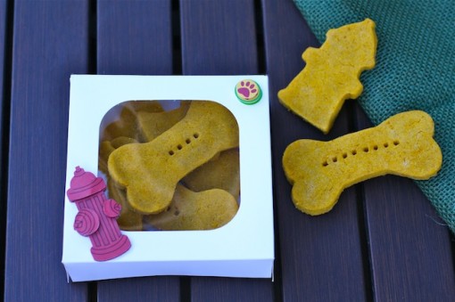 Pumpkin-Peanut Butter Dog Biscuits make a great treat for your dog. Package them up for your neighbors and friends, too!