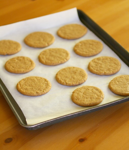 baking: gingersnap cookies