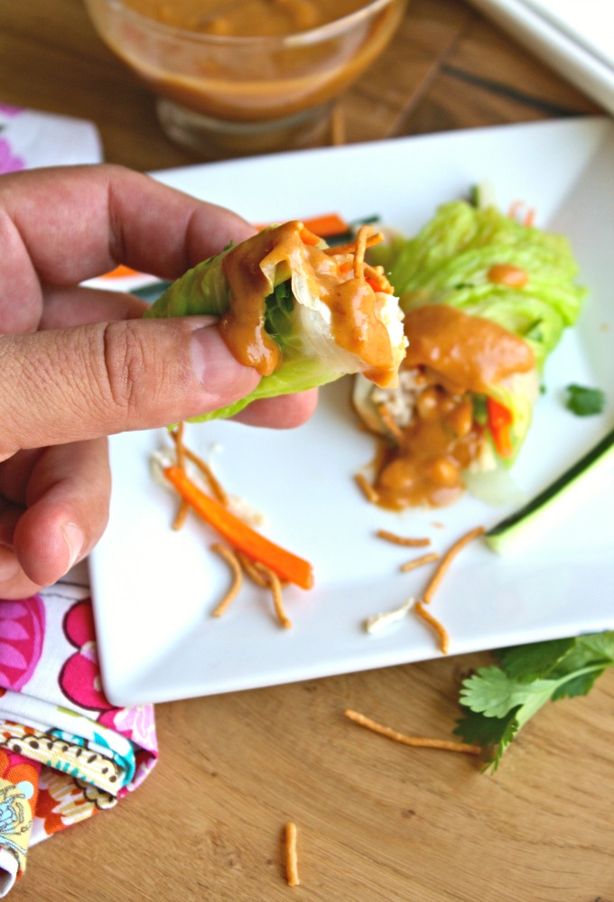 The dipping sauce is amazing! You'll love Napa Cabbage Summer Rolls with Chicken & Spicy Peanut Sauce!