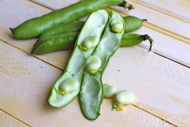 Fava Beans in their Pos
