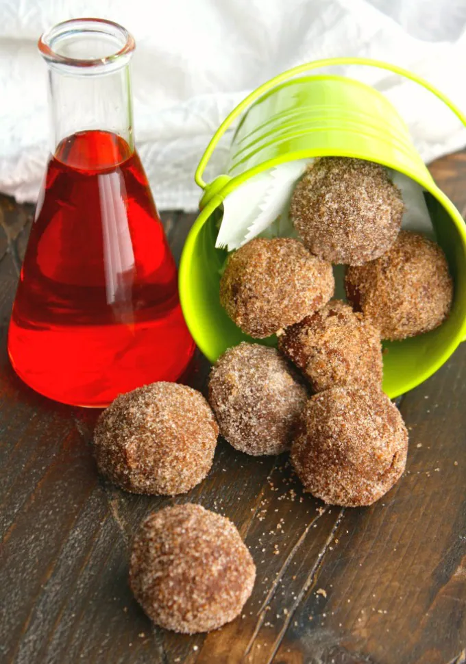 Whether you eat Cinnamon-Sugar Coated Chocolate Donut Holes with milk or witch's brew, you'll love them!
