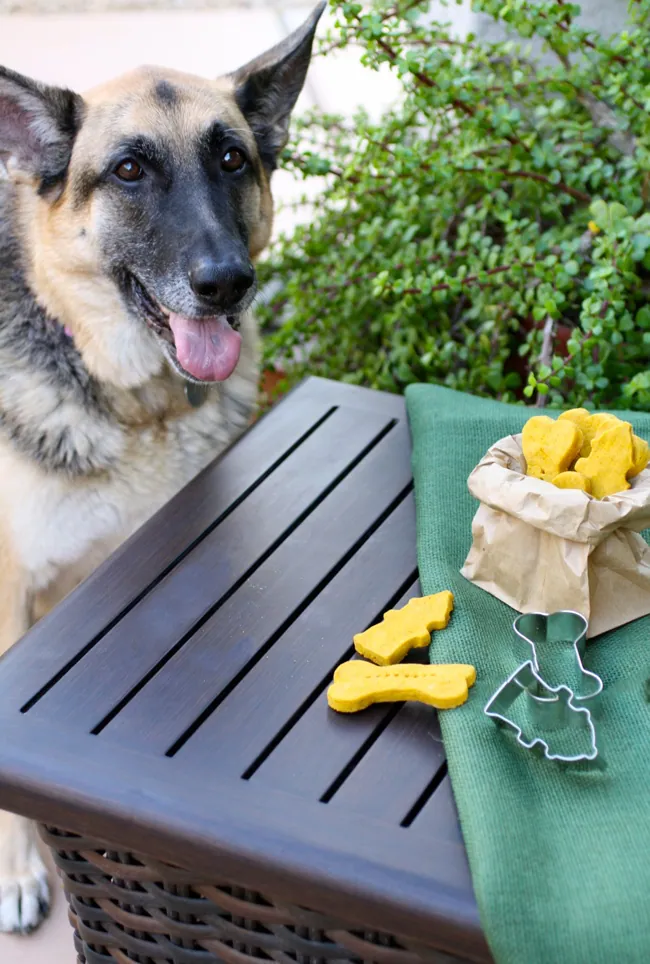 Pumpkin-peanut butter dog biscuits are a treat for your pooch!